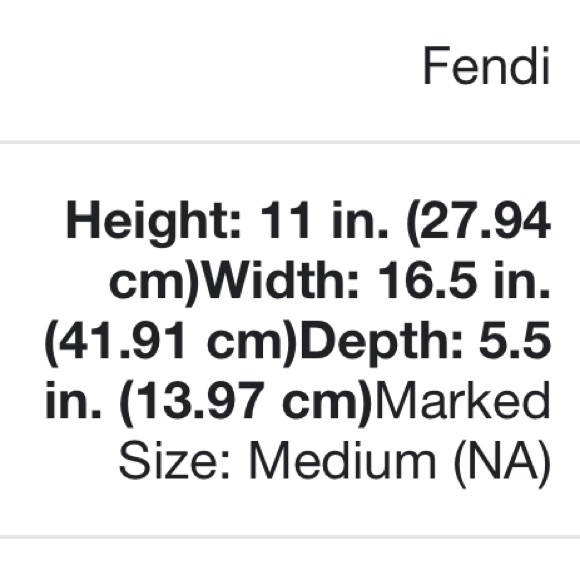 *ICONIC* FENDI Spy 🤎 Tortoise Tobacco Zucca Print - Picture 16 of 16